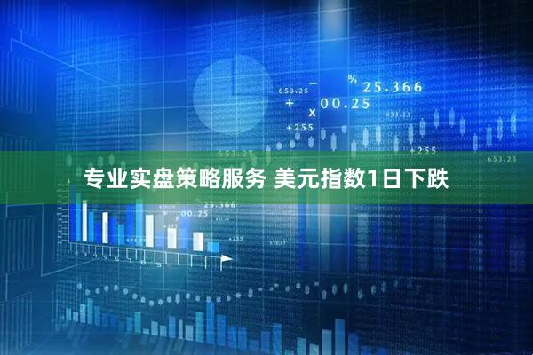 专业实盘策略服务 美元指数1日下跌